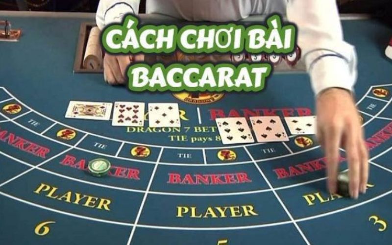 Một số lưu ý khi đặt cược Baccarat 